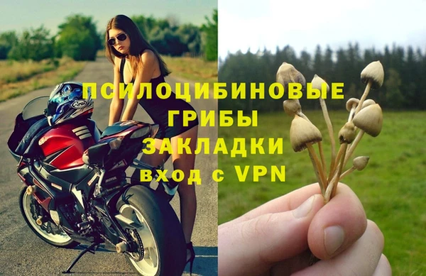 соль курить ск Алзамай