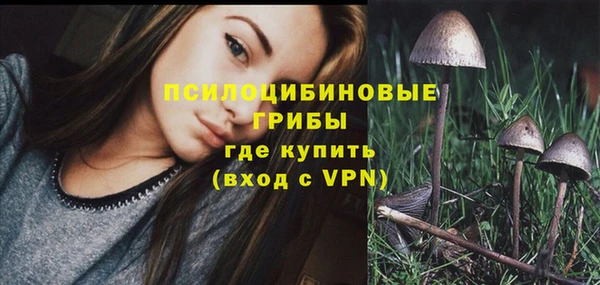 соль курить ск Алзамай