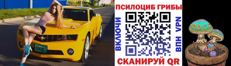 Псилоцибиновые грибы MAGIC MUSHROOMS  наркота  ОМГ ОМГ вход  Крым 